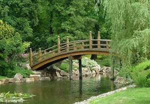 Berlin_Berlin_Zoo-021-001