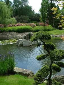 Berlin_Berlin_Zoo-033-001